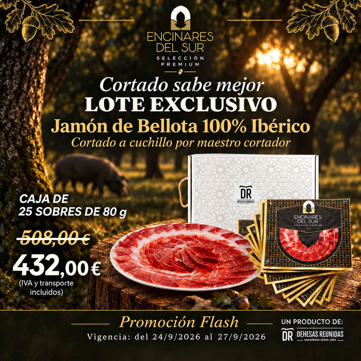 Lote Exclusivo Jamón de Bellota 100% Ibérico - Encinares del Sur - 25 Sobres 80g - Cortado a Cuchillo - ¡En Oferta Flash!